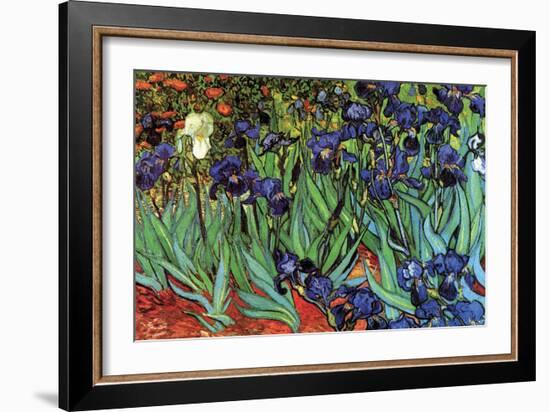 Irises-Vincent van Gogh-Framed Art Print