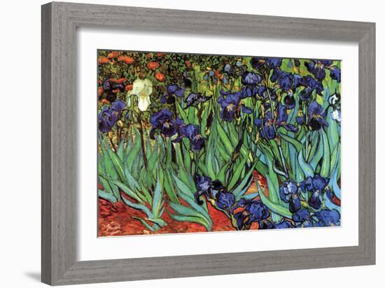 Irises-Vincent van Gogh-Framed Premium Giclee Print