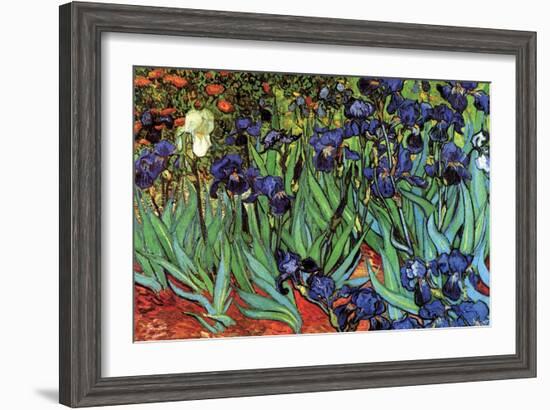 Irises-Vincent van Gogh-Framed Art Print