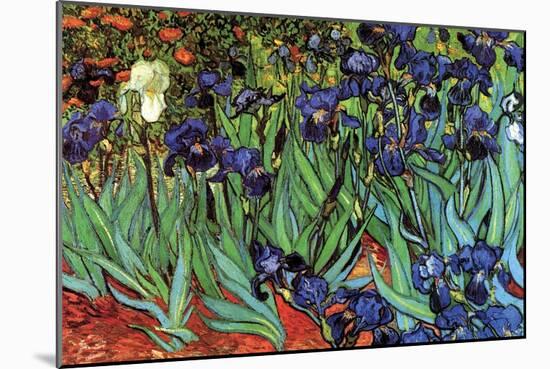 Irises-Vincent van Gogh-Mounted Art Print