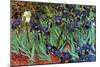 Irises-Vincent van Gogh-Mounted Art Print