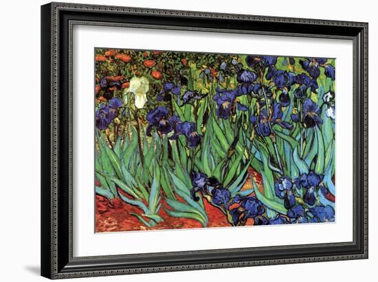 Irises-Vincent van Gogh-Framed Art Print