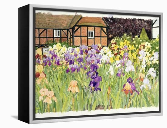 Irises-Linda Benton-Framed Premier Image Canvas