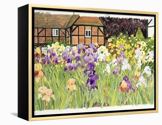 Irises-Linda Benton-Framed Premier Image Canvas