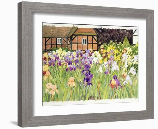 Irises-Linda Benton-Framed Giclee Print