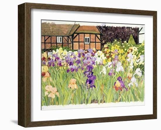 Irises-Linda Benton-Framed Giclee Print