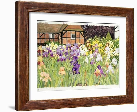 Irises-Linda Benton-Framed Giclee Print