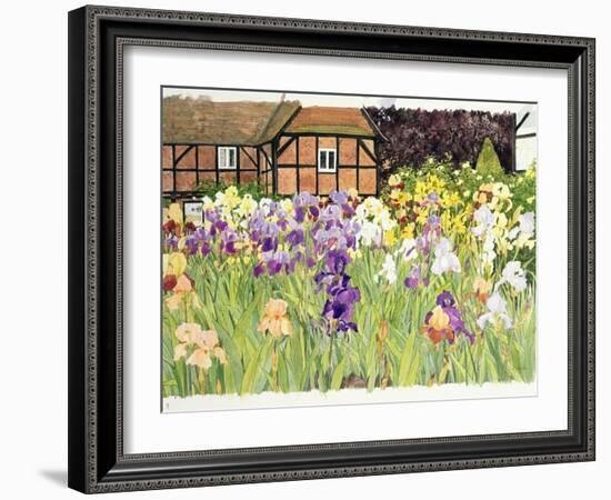 Irises-Linda Benton-Framed Giclee Print