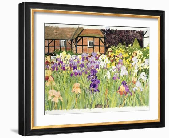 Irises-Linda Benton-Framed Giclee Print