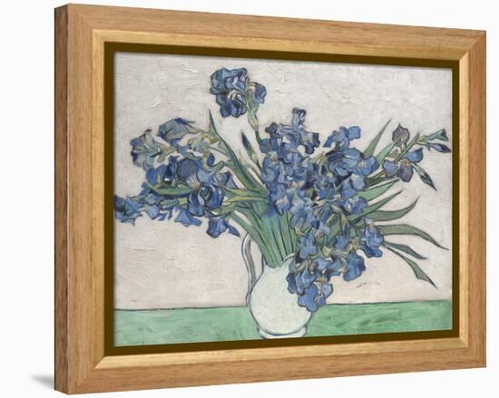 Irises-Vincent van Gogh-Framed Stretched Canvas