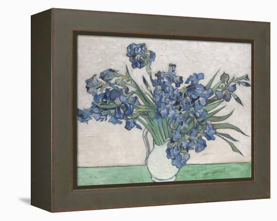 Irises-Vincent van Gogh-Framed Stretched Canvas