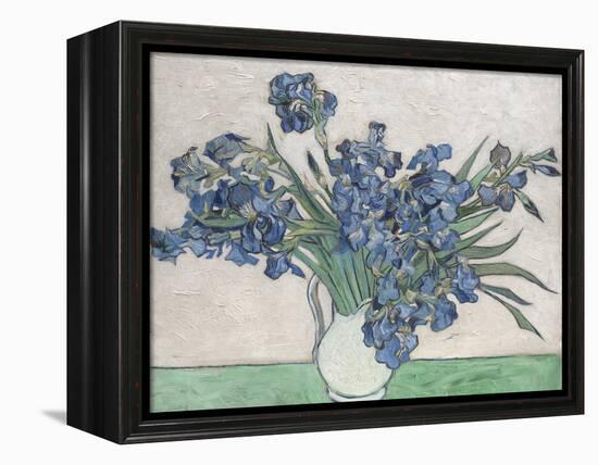 Irises-Vincent van Gogh-Framed Stretched Canvas