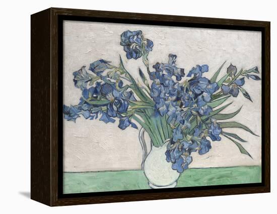 Irises-Vincent van Gogh-Framed Stretched Canvas