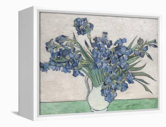 Irises-Vincent van Gogh-Framed Stretched Canvas