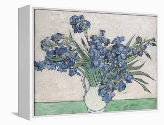 Irises-Vincent van Gogh-Framed Stretched Canvas