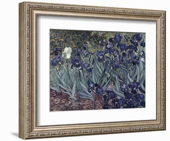 Irises-Vincent van Gogh-Framed Giclee Print