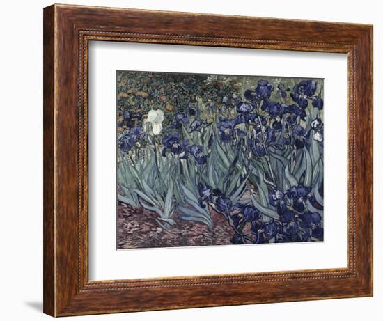 Irises-Vincent van Gogh-Framed Giclee Print