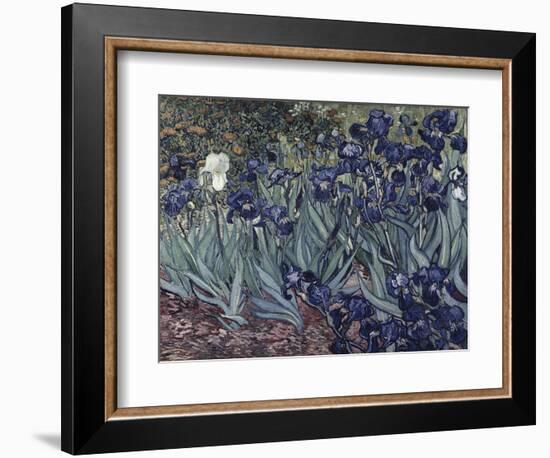 Irises-Vincent van Gogh-Framed Giclee Print