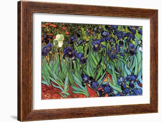 Irises-Vincent van Gogh-Framed Art Print