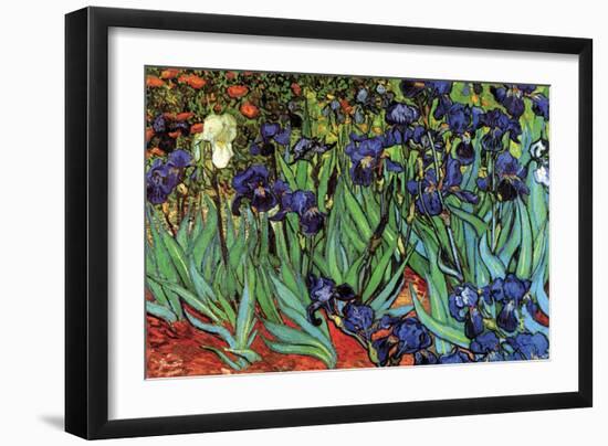 Irises-Vincent van Gogh-Framed Art Print