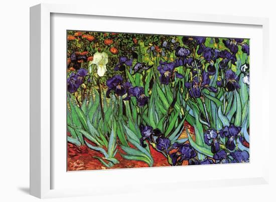 Irises-Vincent van Gogh-Framed Premium Giclee Print