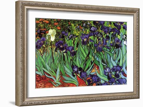 Irises-Vincent van Gogh-Framed Art Print