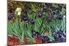 Irises-Vincent van Gogh-Mounted Art Print