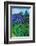 Irises-Andrii Kutsachenko-Framed Photographic Print