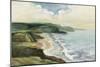 Irish Coast-Silvia Vassileva-Mounted Art Print