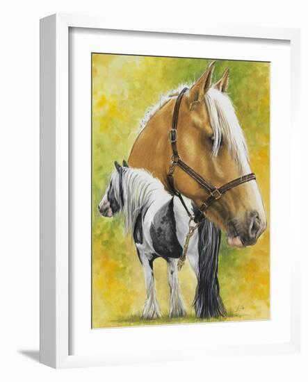 Irish Cob-Barbara Keith-Framed Giclee Print