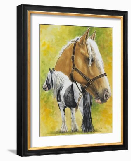 Irish Cob-Barbara Keith-Framed Giclee Print