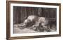 Irish Deerhound-Herbert Dicksee-Framed Premium Giclee Print