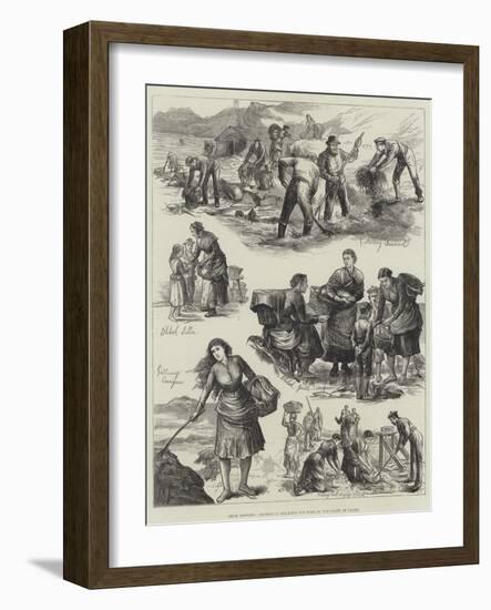Irish Distress, Gathering Sea-Weed for Food on the Coast of Clare-null-Framed Giclee Print