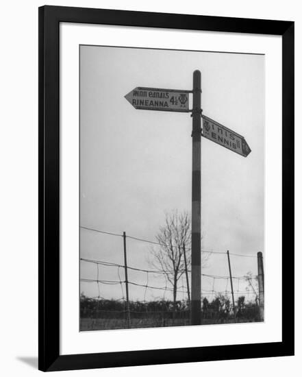 Photographic Print, , large