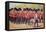 Irish Guards with Mascot-null-Framed Stretched Canvas