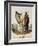 Irish Ollamh and an Heraldic Bard-Robert Havell-Framed Giclee Print