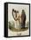 Irish Ollamh and an Heraldic Bard-Robert Havell-Framed Premier Image Canvas