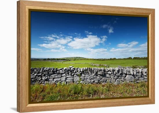 Irish Oxygen-Philippe Sainte-Laudy-Framed Premier Image Canvas