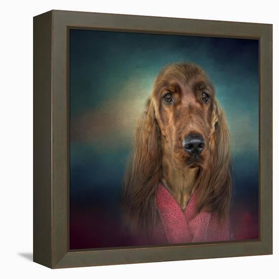 Irish Setter after a Swim-Jai Johnson-Framed Premier Image Canvas