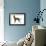 Irish Setter in Studio-null-Framed Photographic Print displayed on a wall