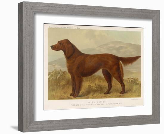 Irish Setter on the Moors-null-Framed Art Print