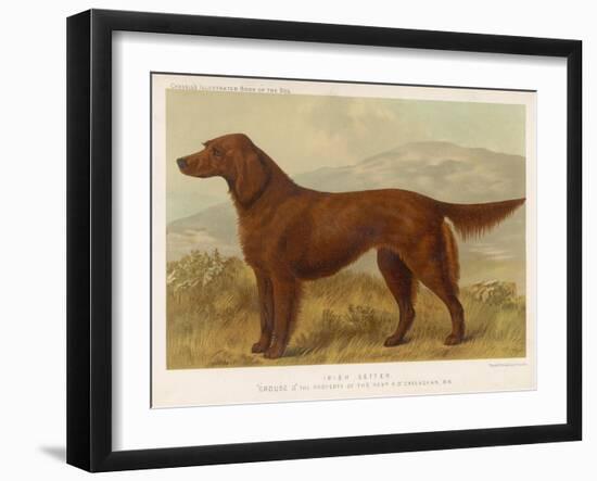 Irish Setter on the Moors-null-Framed Art Print