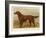 Irish Setter on the Moors-null-Framed Art Print