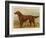 Irish Setter on the Moors-null-Framed Art Print