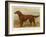 Irish Setter on the Moors-null-Framed Art Print