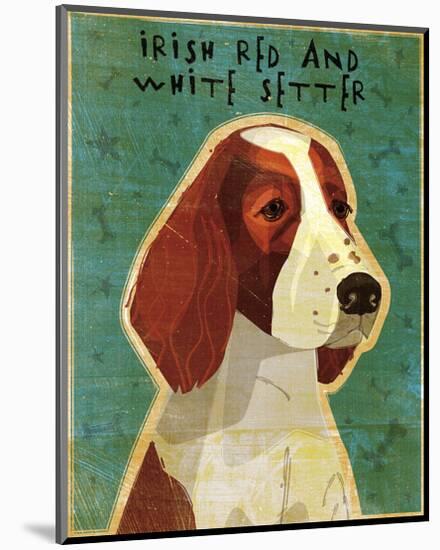 Irish Setter (Red & White)-John W^ Golden-Mounted Art Print