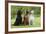 Irish Setter Sitting Between Gordon Setter-null-Framed Photographic Print