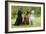 Irish Setter Sitting Between Gordon Setter-null-Framed Photographic Print