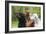 Irish Setter Sitting Between Gordon Setter-null-Framed Photographic Print