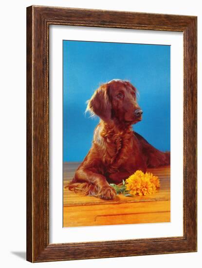 Irish Setter with Flowers-null-Framed Art Print